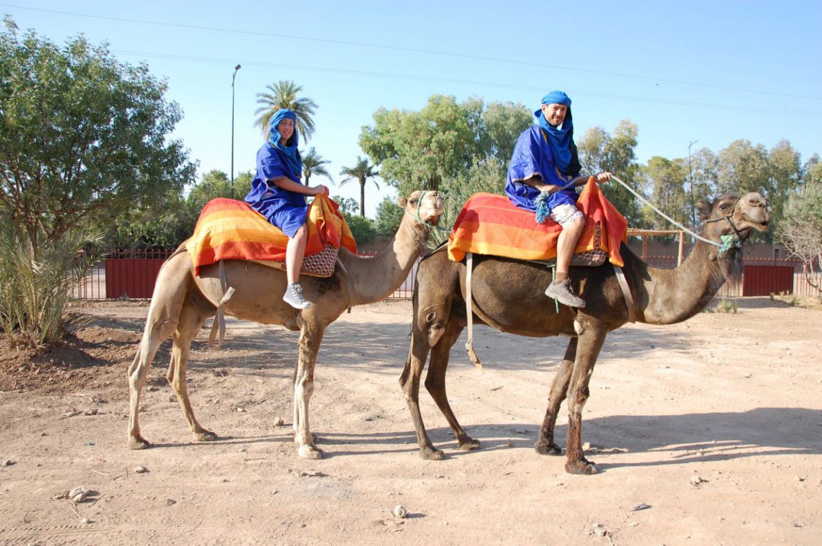 Dromadaire Quads Buggy Marrakech